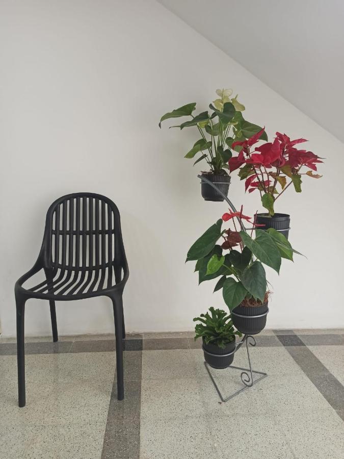 Hotel Boutique Estadio Medellín Zewnętrze zdjęcie